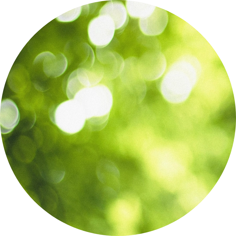 Background une culture exigeante et durable