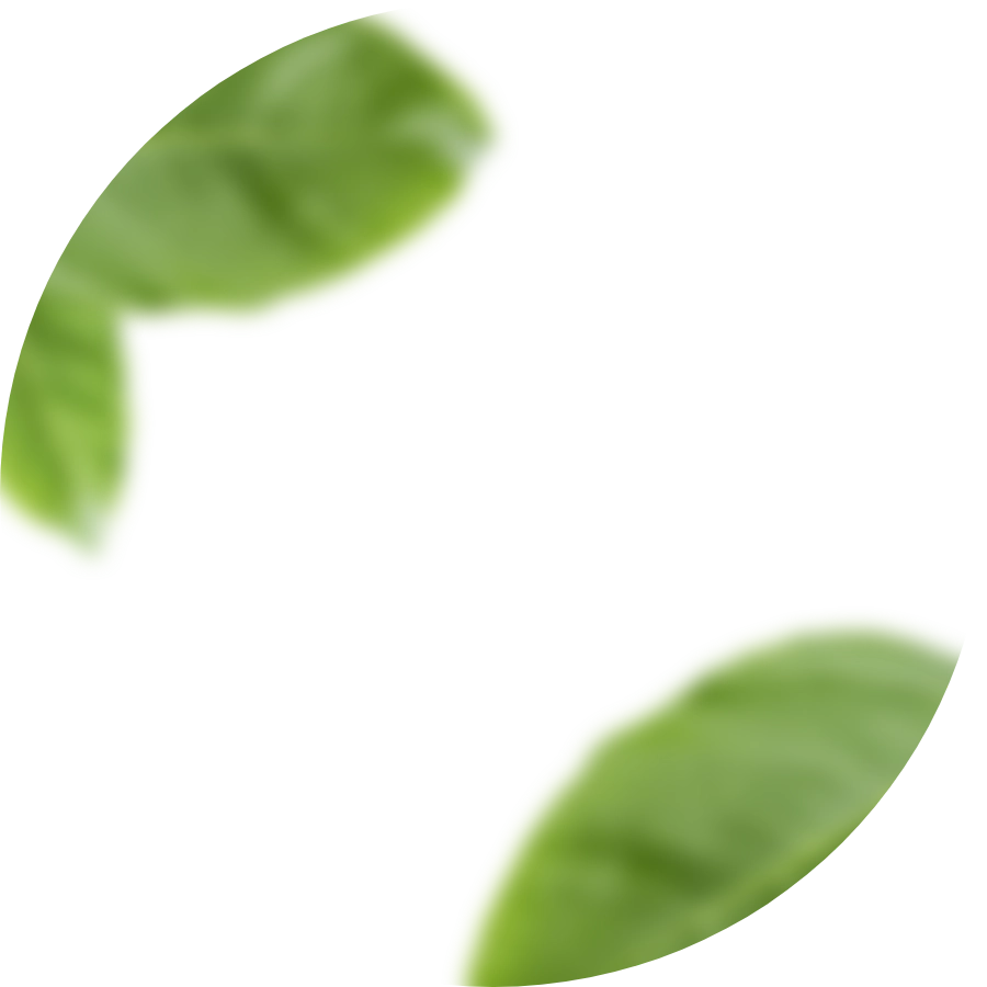 Front une culture exigeante et durable