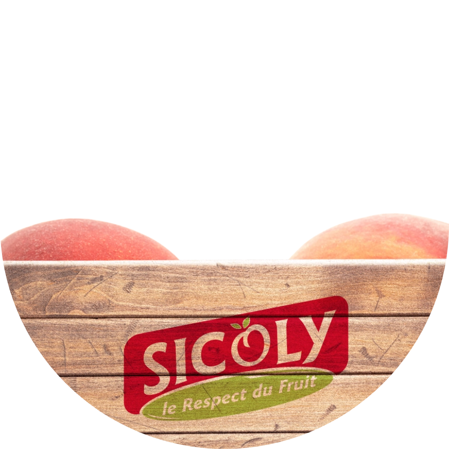 Front emballage et expédition