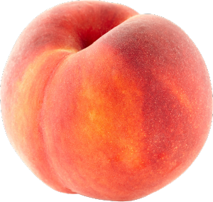 le parcours du fruit